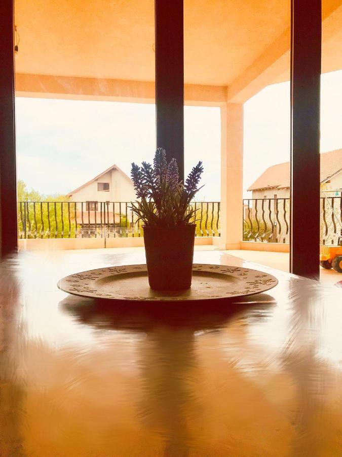Breeze Villa Mamaia Nord 那沃达利 外观 照片
